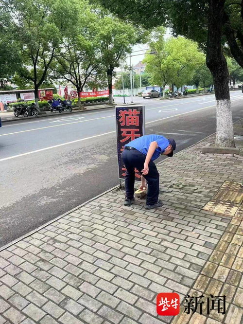 南京和凤城管清理占道广告牌 消除安全隐患
