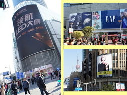 2013上海新春户外掠影