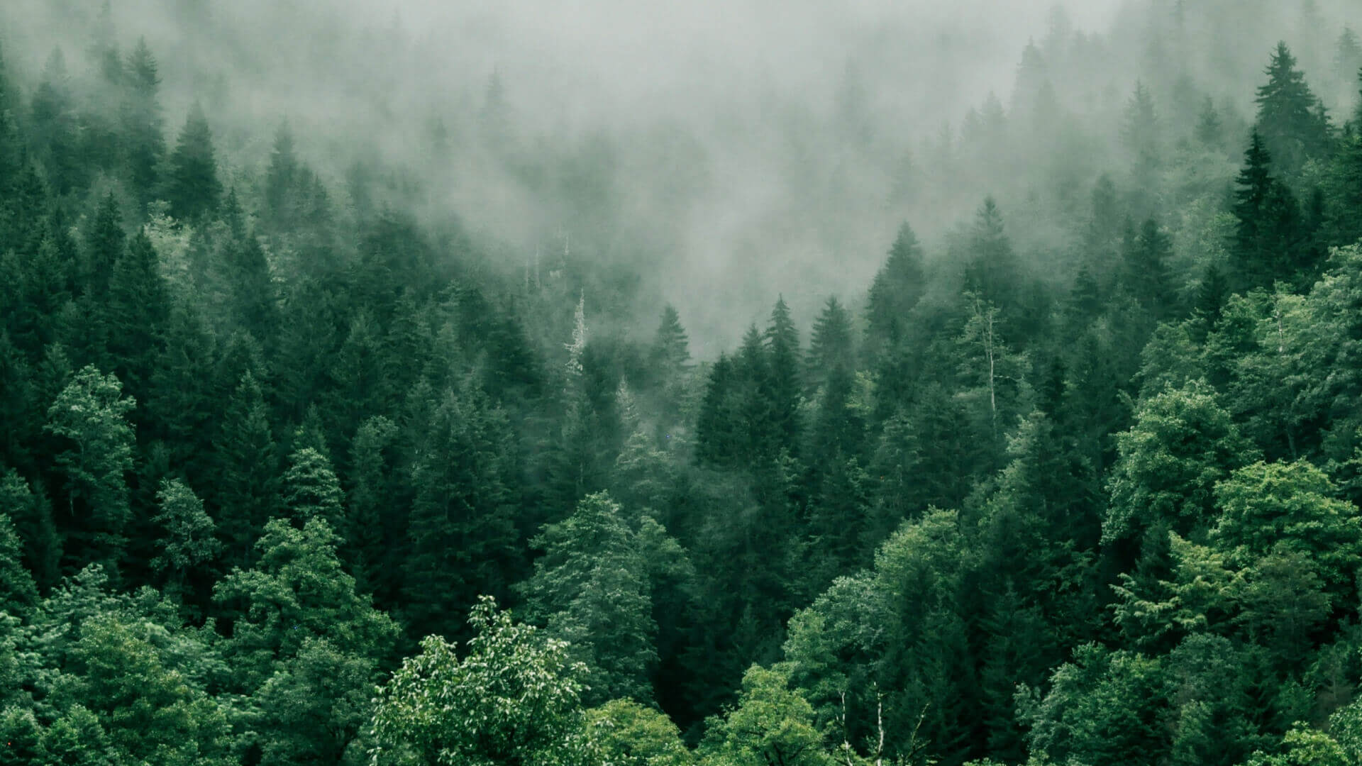 加盟尊龙凯时人生就是搏