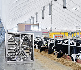 畜牧养殖空气解决方案